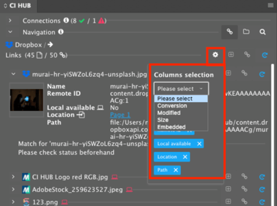 Links Tab with settings