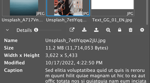 Quick-Info-open