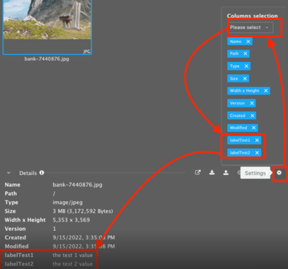 Visibility custom metadata